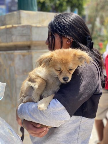 482221990_672802182078070_996937624973240685_n