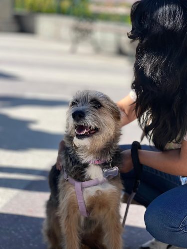 499857232_729452299746391_8116349826691166313_n