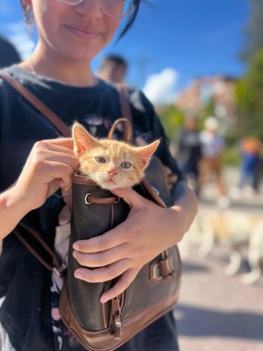 500024251_729452096413078_4737358435061066300_n