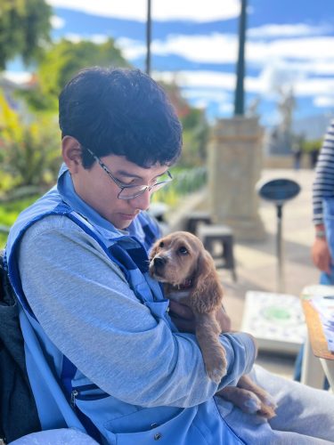 500141415_728750269816594_5060261706581979529_n